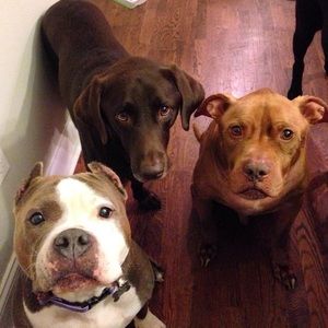 Meet your Posher, Kyra